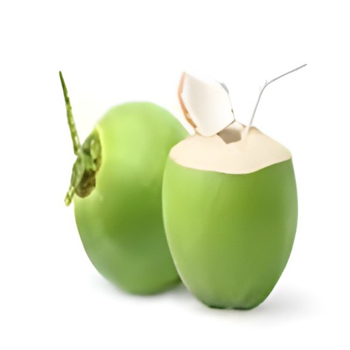 COCONUT FRESH 1 EACH