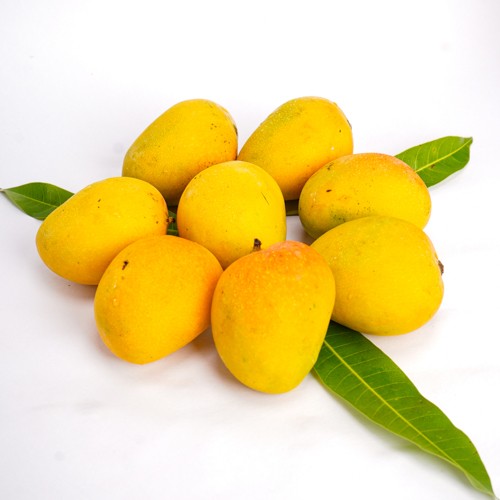 Mangoes Big Box 1 Case