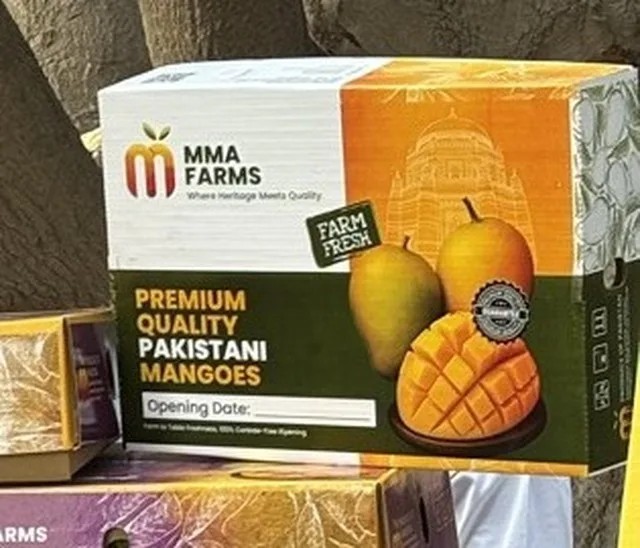 Pakastani Mango Box 1 Case