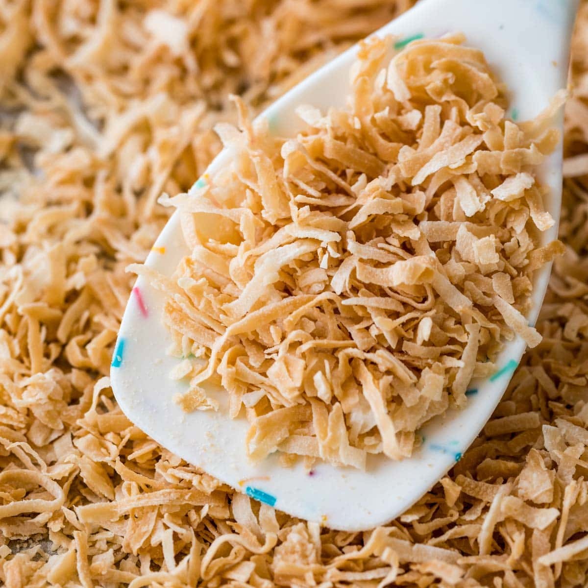 Canary Shredded Coconut 8 OZ