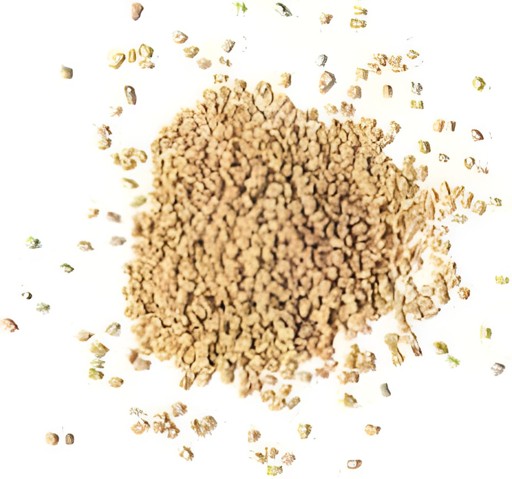 Canary Fenugreek Seeds 8 OZ
