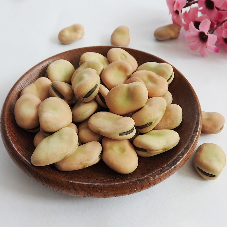 CANARY FAVA BEANS CHINESE 450 GM