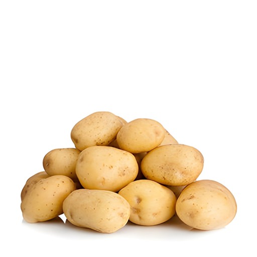 Potato 1 PACK