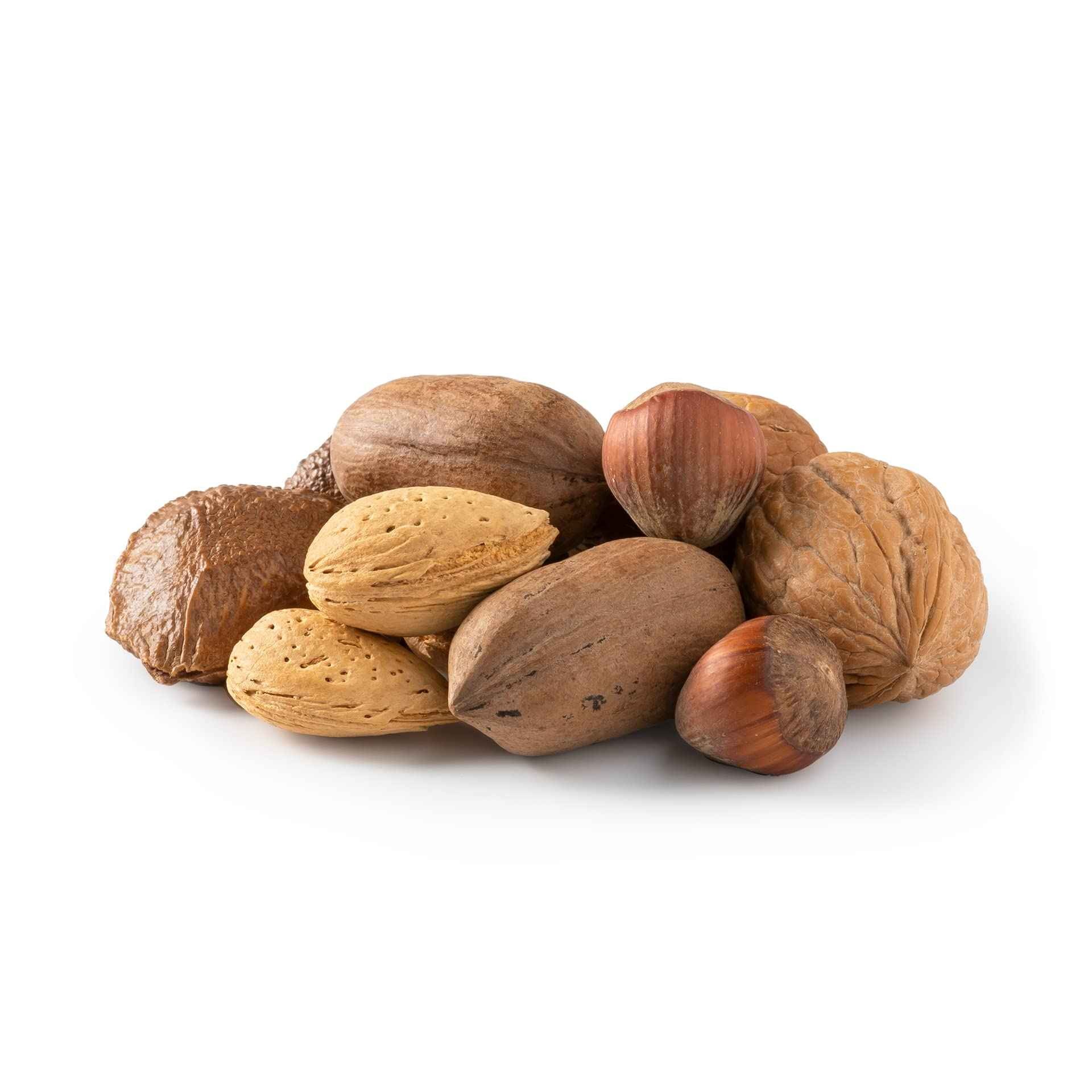 KALUSTYANS DRY RAW MIXED NUT IN SHELL 1 Lbs