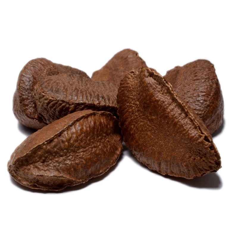 KALUSTYANS RAW BRAZIL NUT IN SHELL 1 Lbs