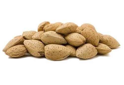 KALUSTYANS ALMONDS RAW IN SHELL 1 Lbs
