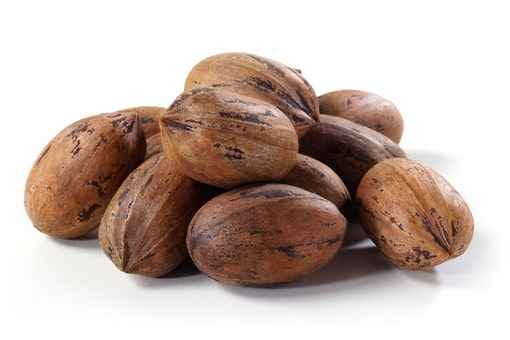 KALUSTYANS RAW PECAN IN SHELL 1 Lbs