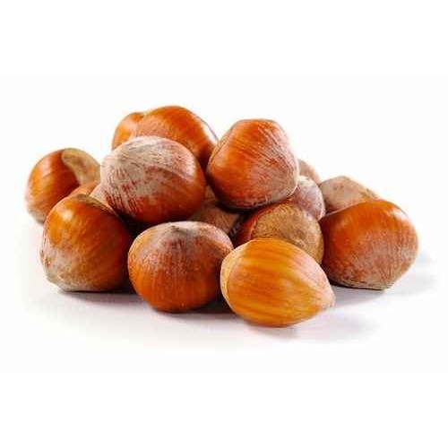 KALUSTYANS FILBERTS (HAZELNUT) RAW IN SHELL 1 Lbs