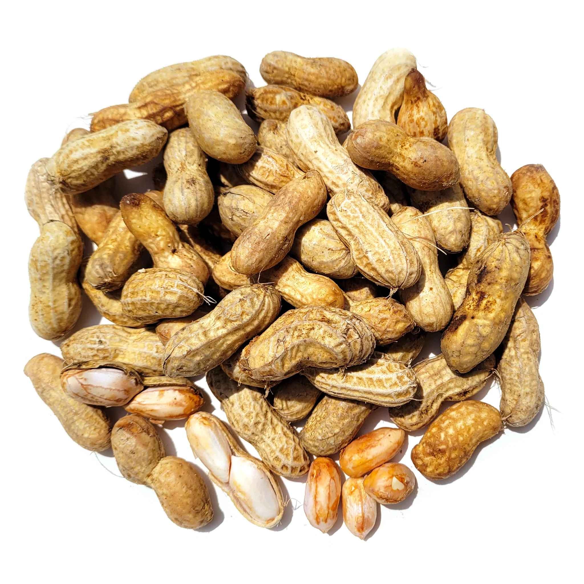 KALUSTYANS PEANUTS RAW IN SHELL 0.5 Lbs