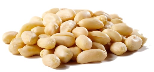 KALUSTYANS JUMBO BLANCHED PEANUT ROASTED NO SALT 1 Lbs