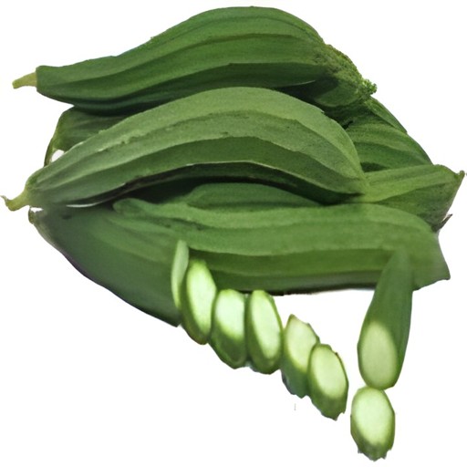 BEERAKAYA (TURAI) 1 CASE