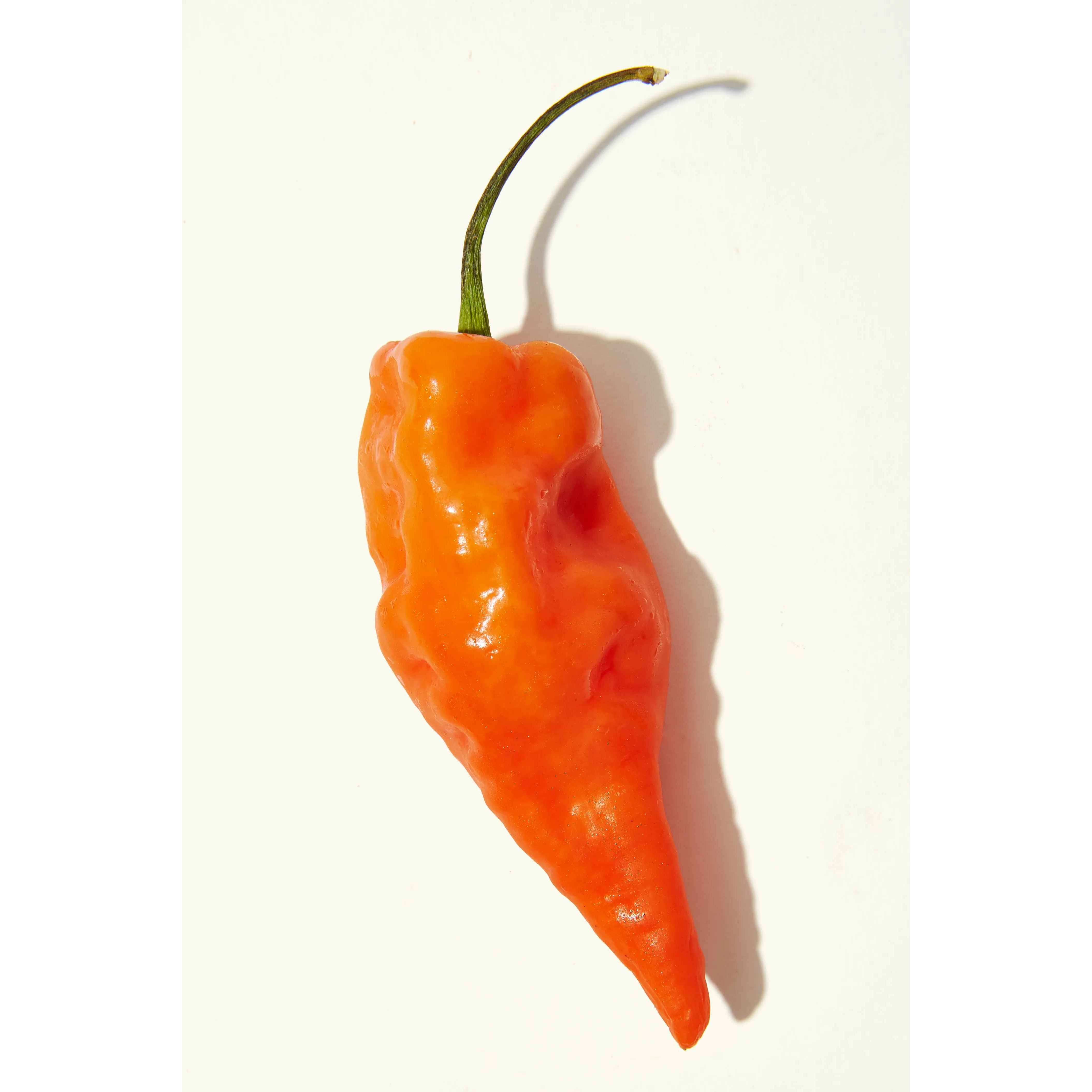 KALUSTYANS CHILI HABANERO 1 Lbs