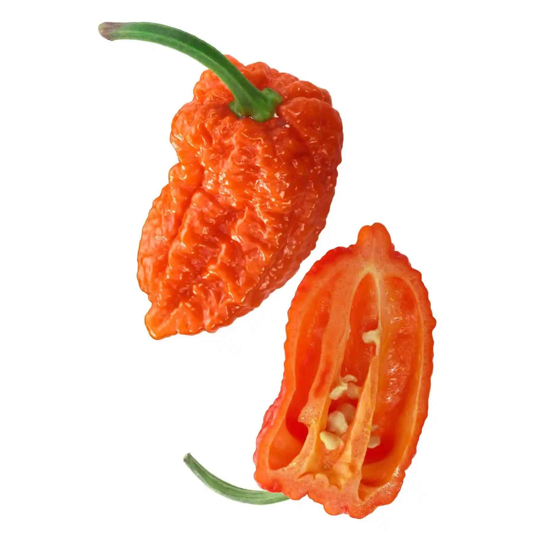 KALUSTYANS NAGA MARICH BHUT NAGA JOLOKIA 0.06 Lbs