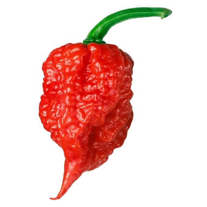 KALUSTYANS CAROLINA REAPER PEPPER 0.13 Lbs