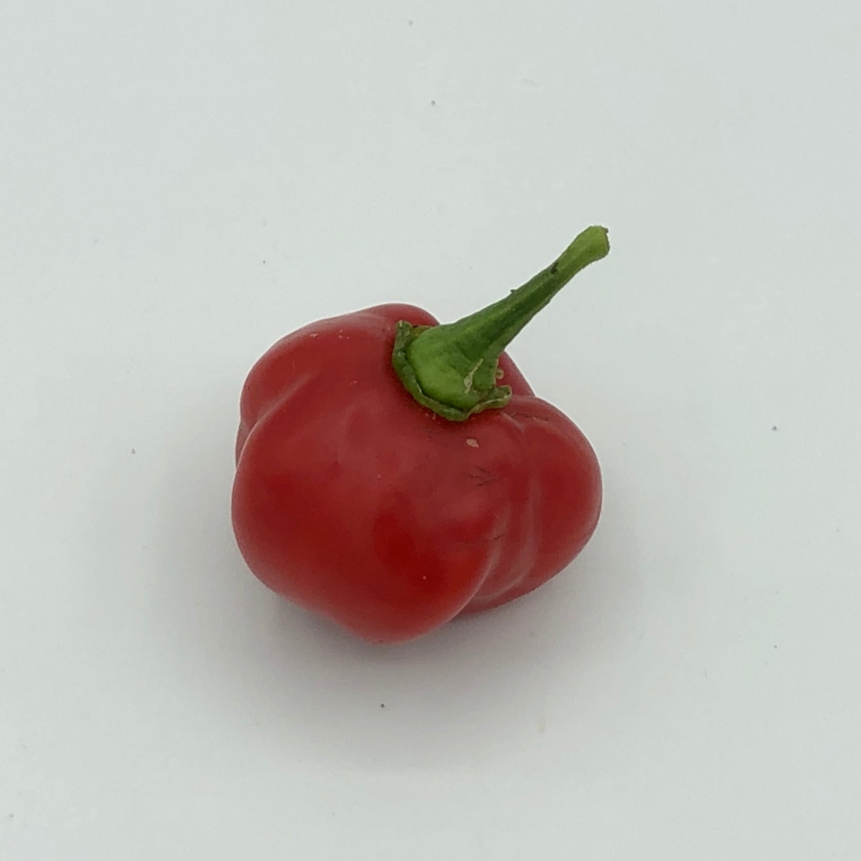 KALUSTYANS RED SAVINA PEPPER 0.19 Lbs