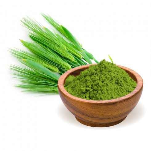 KALUSTYANS ORGANIC BARLEY GRASS POWDER 0.13 Lbs