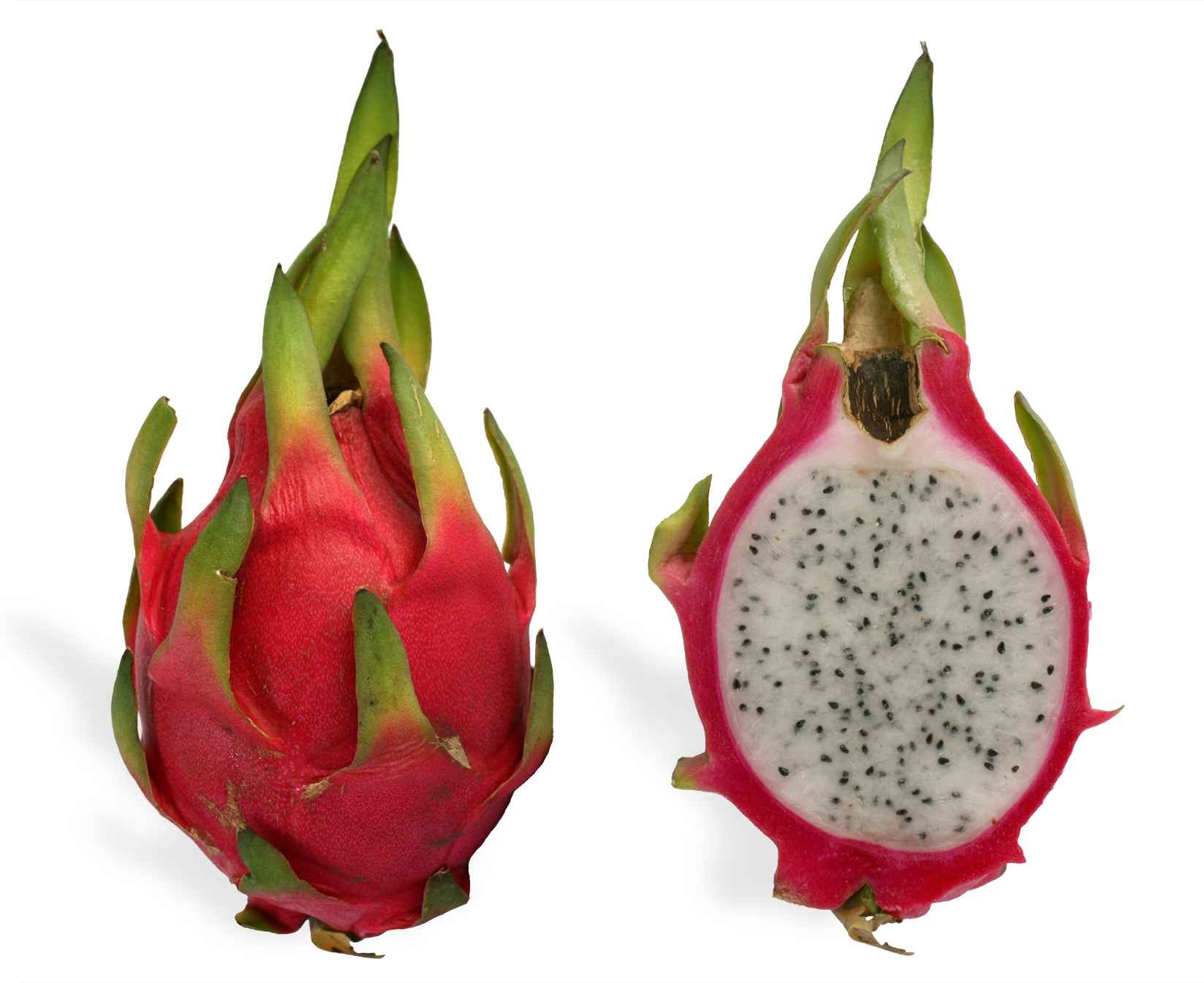 KALUSTYANS DRAGON FRUIT 0.06 Lbs