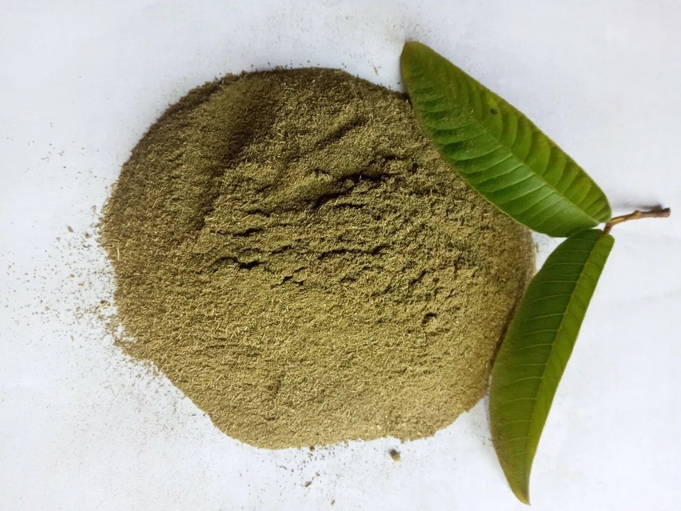 KALUSTYANS GUAVA LEAF POWDER 0.13 Lbs