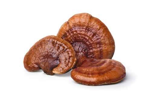 KALUSTYANS REISHI MUSHROOM WHOLE 0.06 Lbs