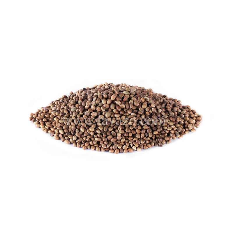 KALUSTYANS HEMP SEEDS TOASTED And SALTED 0.19 Lbs