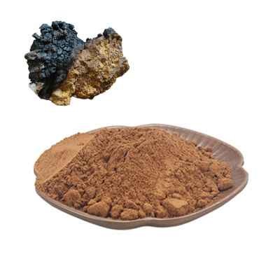 KALUSTYANS CHAGA MUSHROOM EXTRACT POWDER 0.19 Lbs
