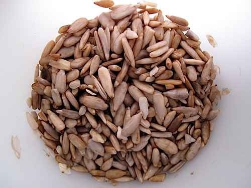 KALUSTYANS SUNFLOWER SPROUTING SEED ORG 0.38 Lbs