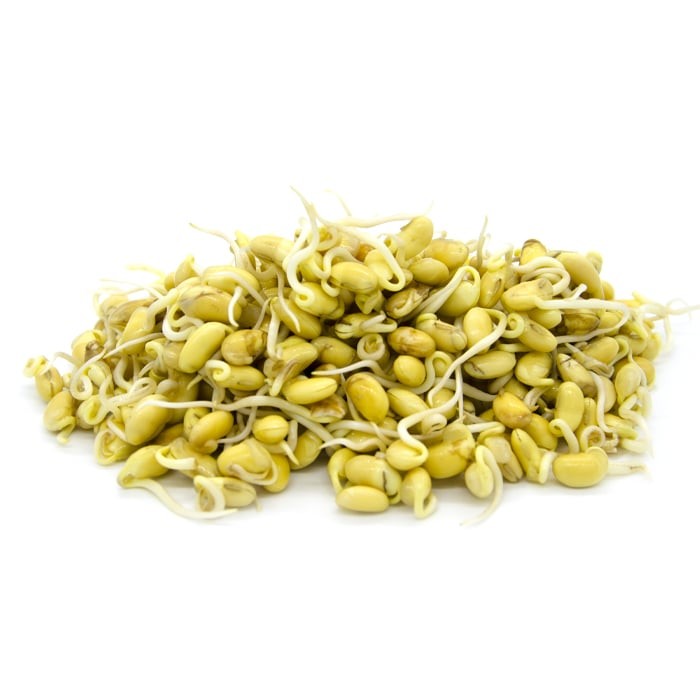 KALUSTYANS SOYBEAN YELLOW SPROUTING SEED ORG 0.38 Lbs
