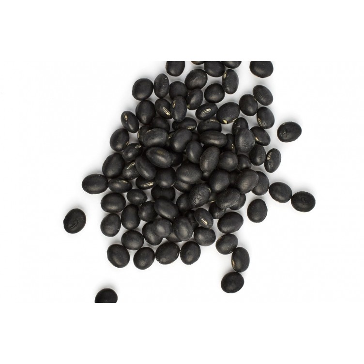 KALUSTYANS SOYBEAN BLACK SPROUTING SEED ORG 0.38 Lbs