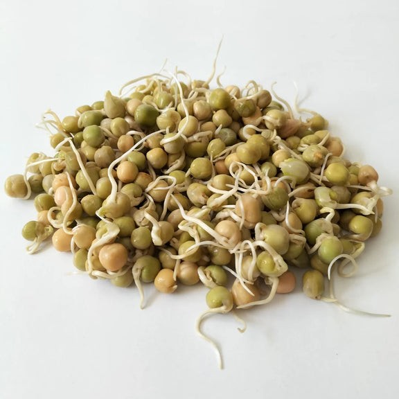 KALUSTYANS PEA GREEN SPROUTING SEED ORG 0.38 Lbs