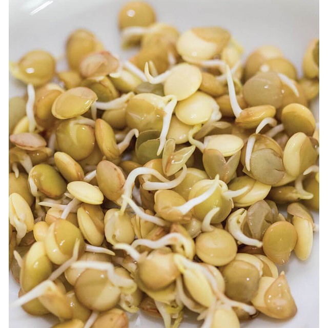 KALUSTYANS GREEN LENTIL SPROUTING SEED ORG 0.38 Lbs
