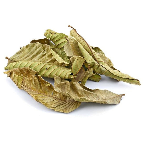 KALUSTYANS GUAVA LEAF 0.03 Lbs