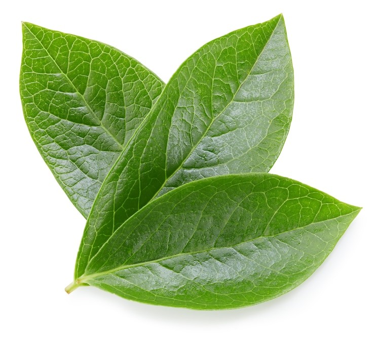 KALUSTYANS BLUEBERRY LEAF 0.06 Lbs