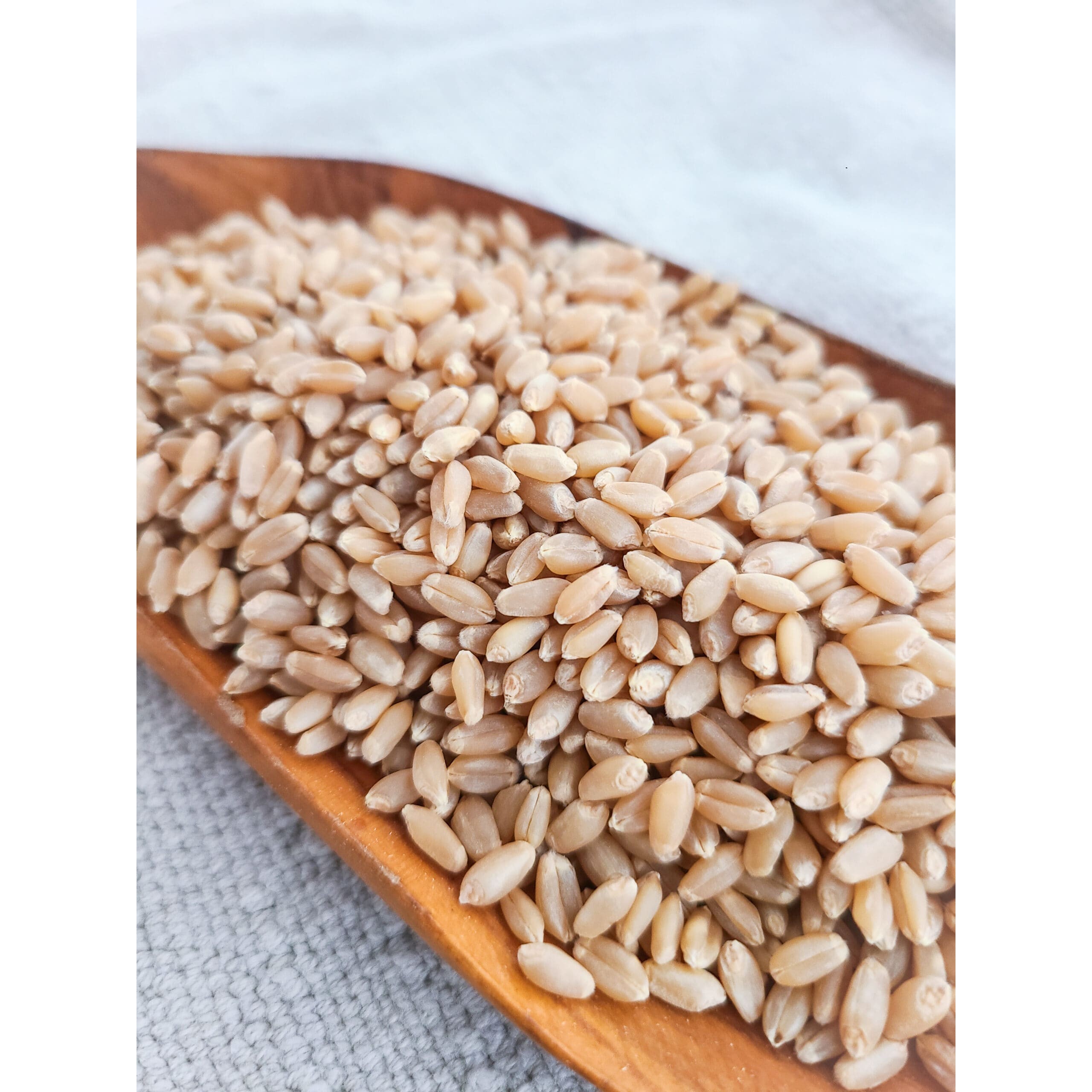KALUSTYANS ORGANIC BERRY HARD WHITE WHEAT 0.38 Lbs