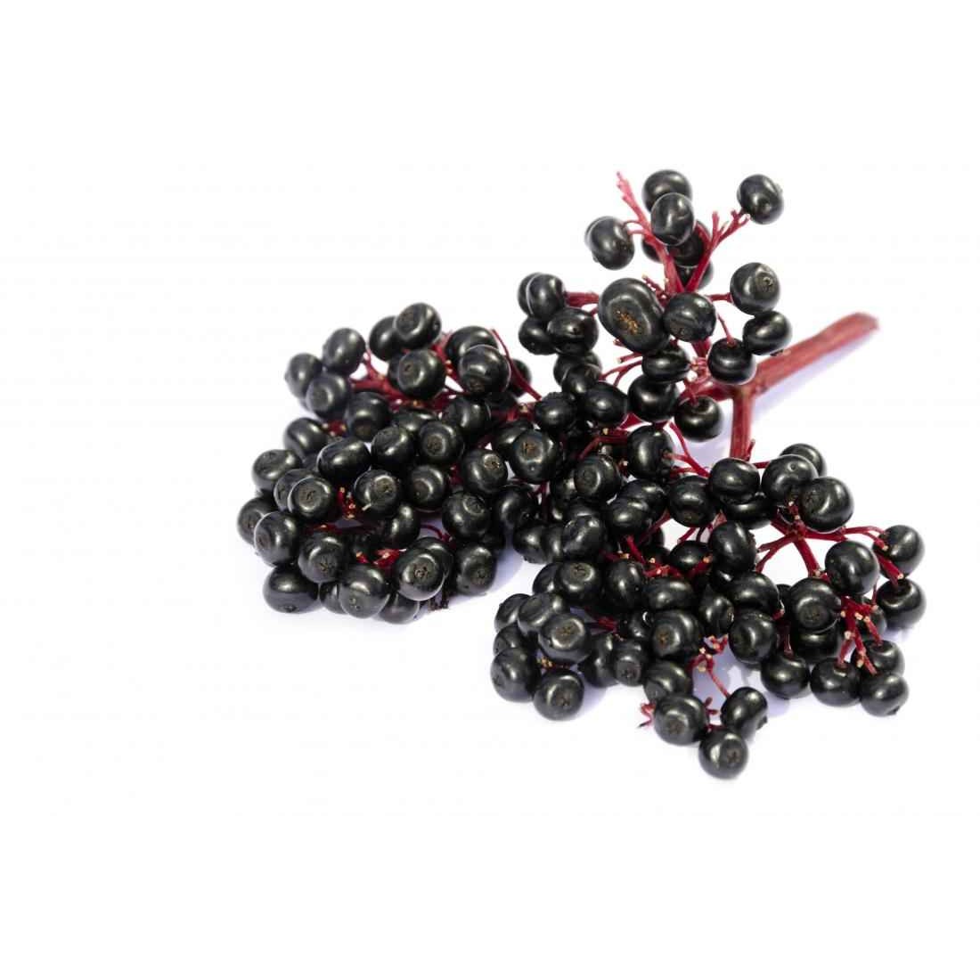 KALUSTYANS ELDERBERRY 0.13 Lbs