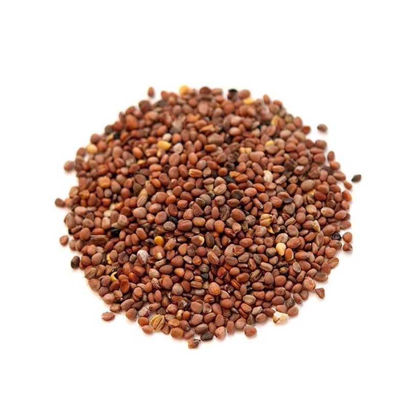 KALUSTYANS RADISH SEED 0.13 Lbs