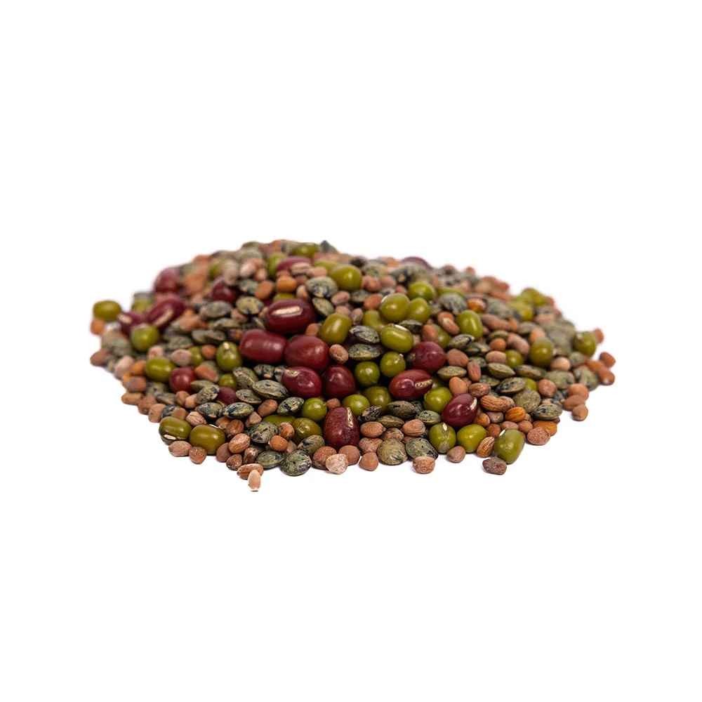 KALUSTYANS ORGANIC BEAN SALAD MIX SPROUTING SEED 0.38 Lbs