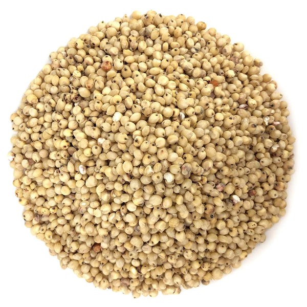 KALUSTYANS ORGANIC SORGHUM SEEDS SPROUTED 1 Lbs