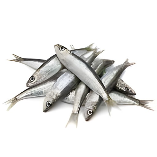 Sardine Fresh Water 500 GM