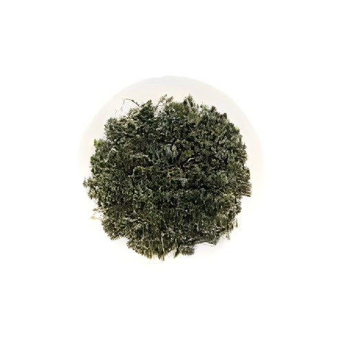 KALUSTYANS GYNOSTEMMA LEAF 0.06 Lbs