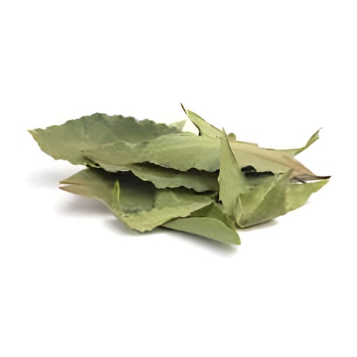 KALUSTYANS GINKGO LEAF 1 Lbs