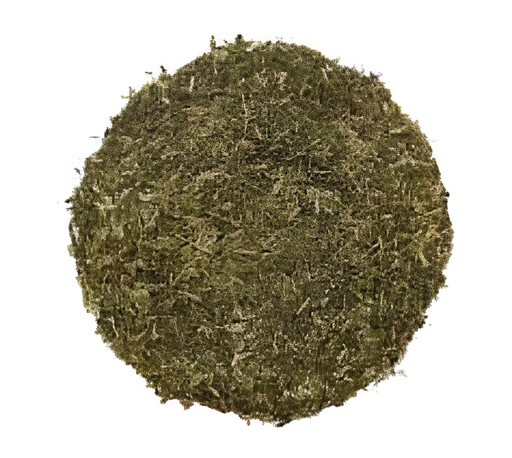 KALUSTYANS RUE HERB 0.09 Lbs