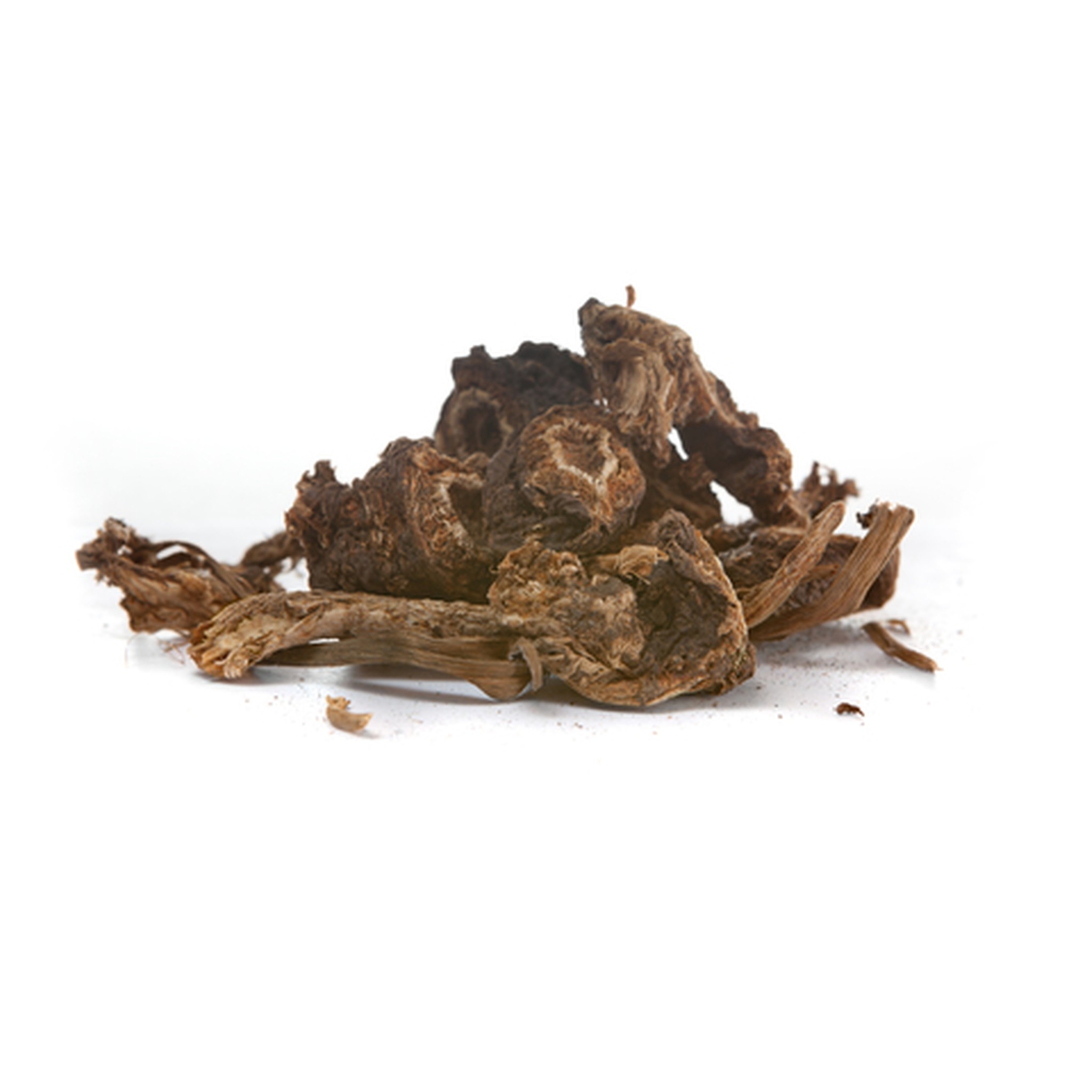 KALUSTYANS OSHA ROOT 0.5 OZ