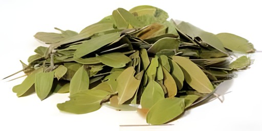 KALUSTYANS UVA URSI LEAF 0.06 Lbs