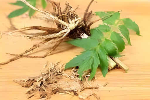 KALUSTYANS VALERIAN ROOT 1 Lbs