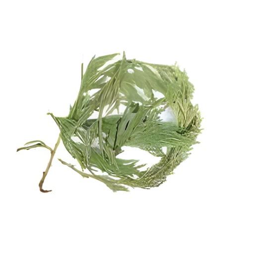 KALUSTYANS CEDAR LEAF 0.13 Lbs