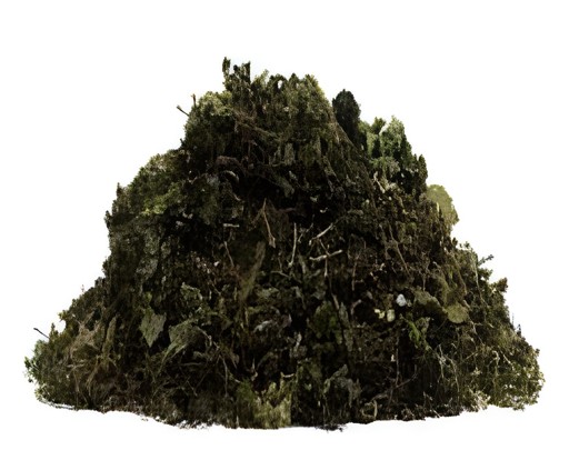 KALUSTYANS GUACO HERB JAMAICAN GUACO LEAF 0.06 Lbs