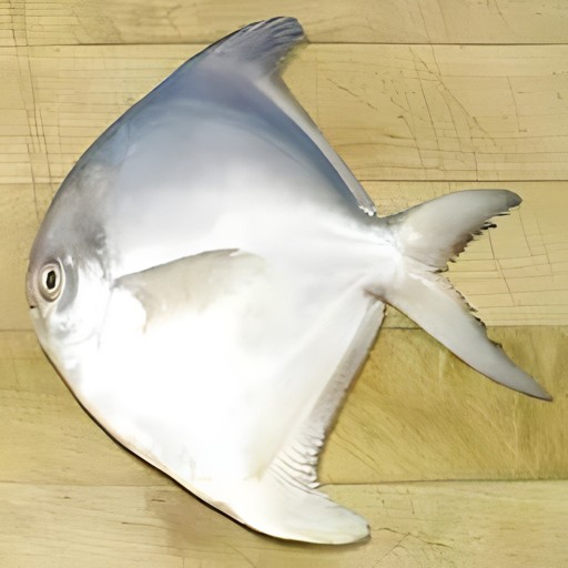 PUTUL SILVER POMFRET 1 LBS