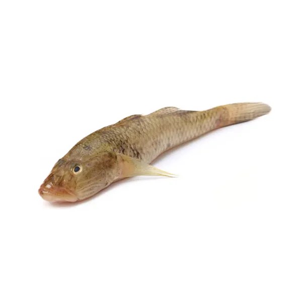 FISH BAILLA CLEAN BLOCK PUTUL BRAND 500 GM