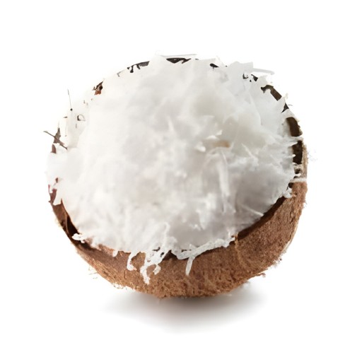 PUTUL COCONUT SHREDED 400 GM
