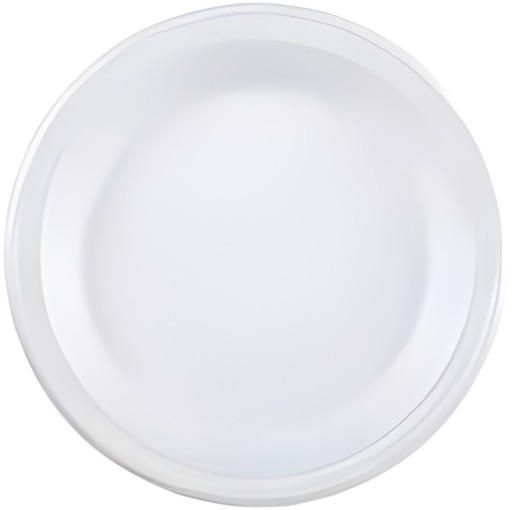 FOAM PLATES 9INCH 30 Each